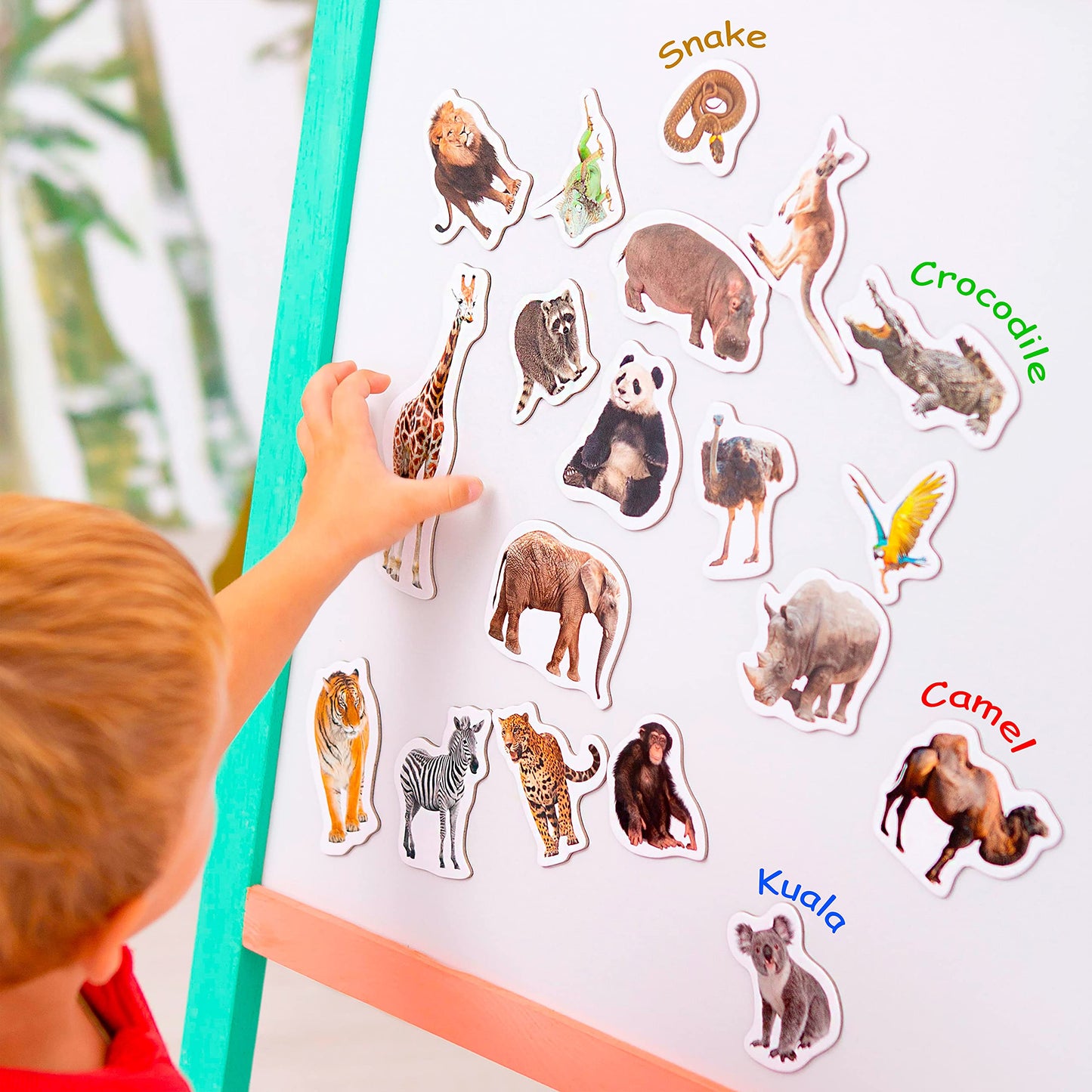 Fridge Magnets for Toddlers - Magdum - 110 Set Zoo+Farm+Fruit+Vegetable+Transport - Real Magnetic Animals for Refrigerator - Realistic Magnets for Kids - Learning Toy Set - Baby Educational Gift