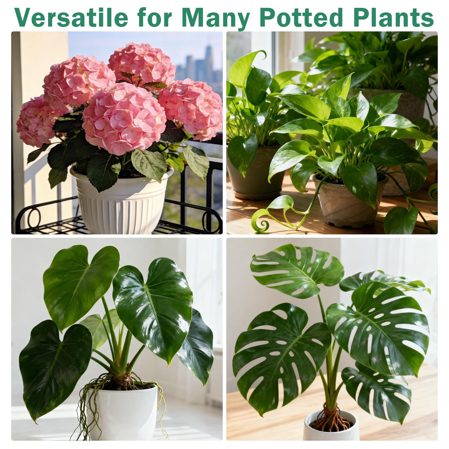 10 Pack Stackable Monstera Plant Support Stakes, Half Round Climbing Plant Pole Sticks Structures for Indoor/Outdoor Plants, Garden Accessories for Potted, Pothos, Philodendron & Vine Plants