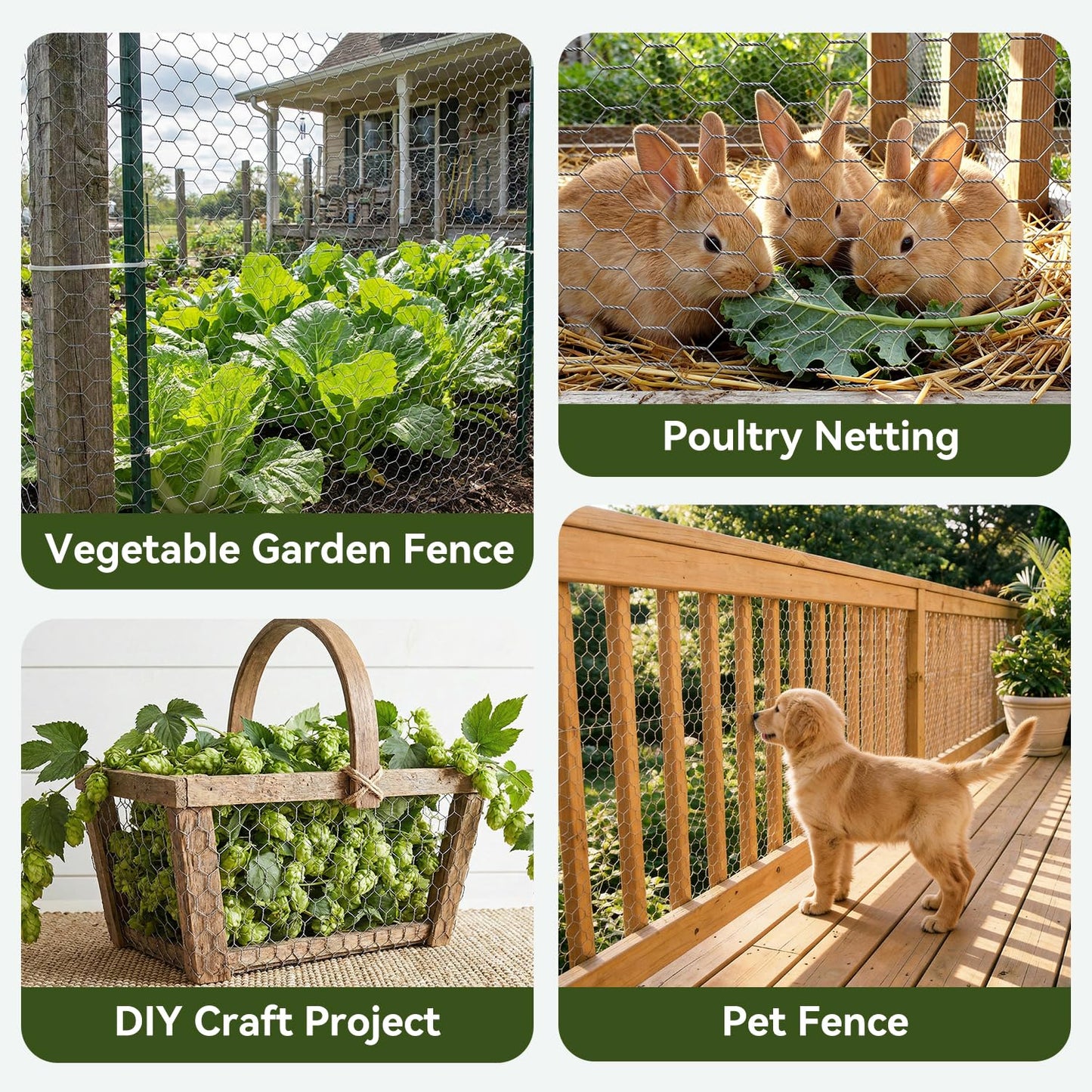 Amagabeli Chicken Wire Fencing 16in x 50ft Garden Netting Poultry Wire Hexagonal Galvanized Mesh Roll Fence Barrier for Raised Bed Cattle Panels for Plant Trellis Vegetable Dog Bird Pet Cage Craft