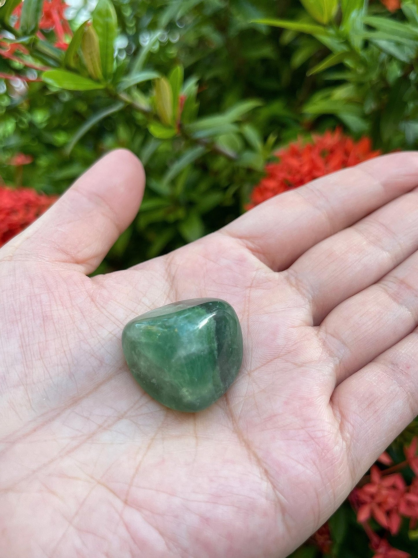 GAF TREASURES 5 Pcs Rainbow Fluorite Tumbled Stones, Polished Natural Rainbow Fluorite Gemstone, Rainbow Fluorite Healing Crystals (Rainbow Fluorite)
