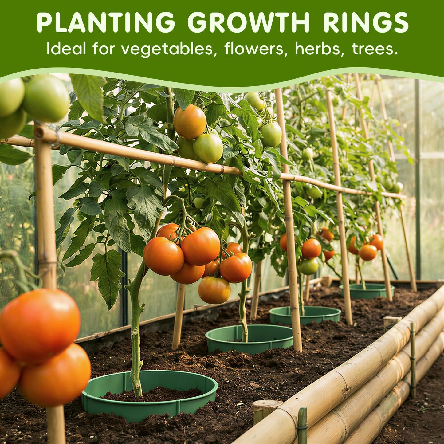6 Set 13.5 inch Planting Grow Ring, 42Pcs DIY Plant Growing Rings, Adjustable Round Tree Rings, Planting Protective Edging for Outdoor Vegetables, Herbs, Flowers