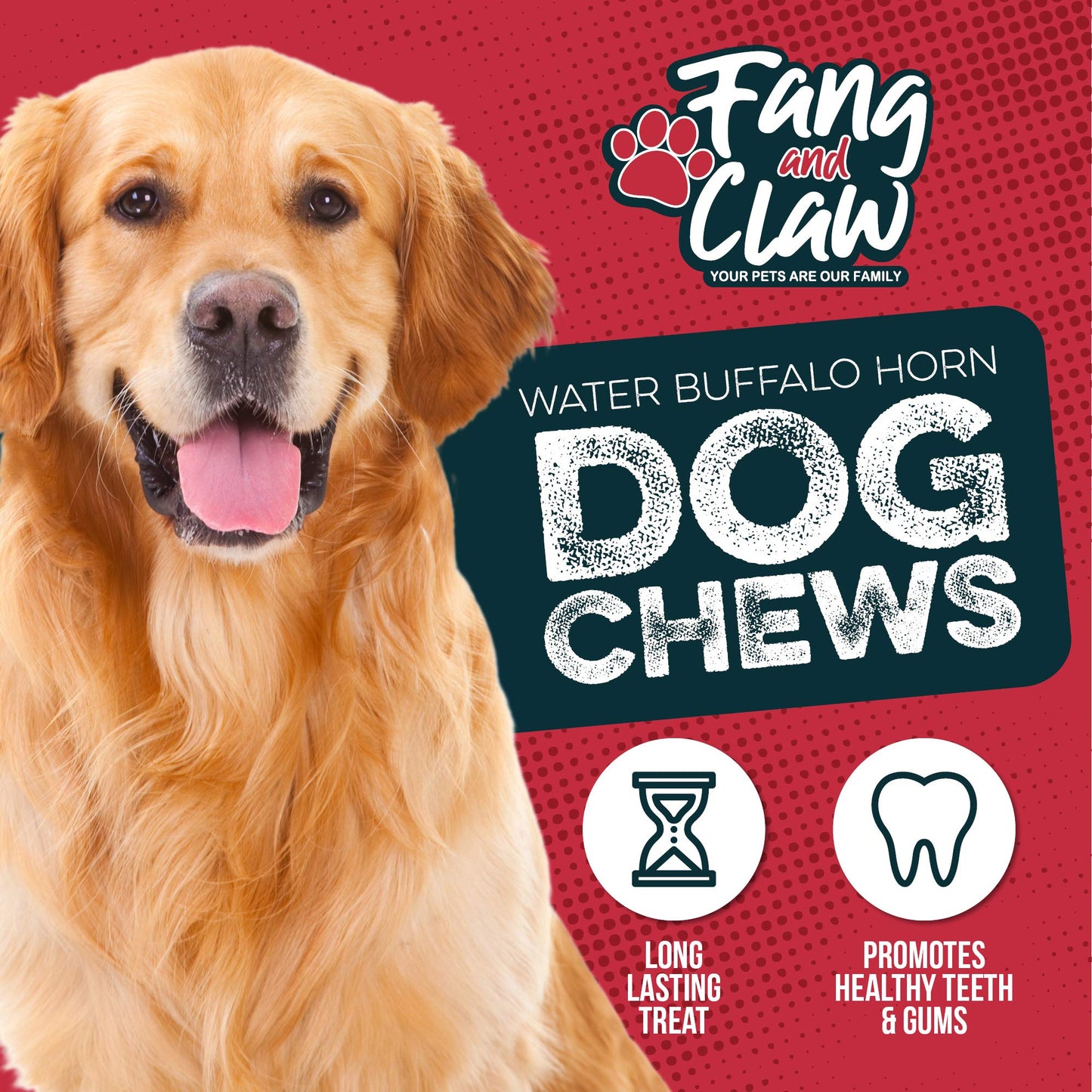 Fang and Claw Water Buffalo Horn Dog Chew 4 Pack (Medium 6 Inch), Long-Lasting Natural Chews for Aggressive Chewers, Single-Ingredient, No Rawhide