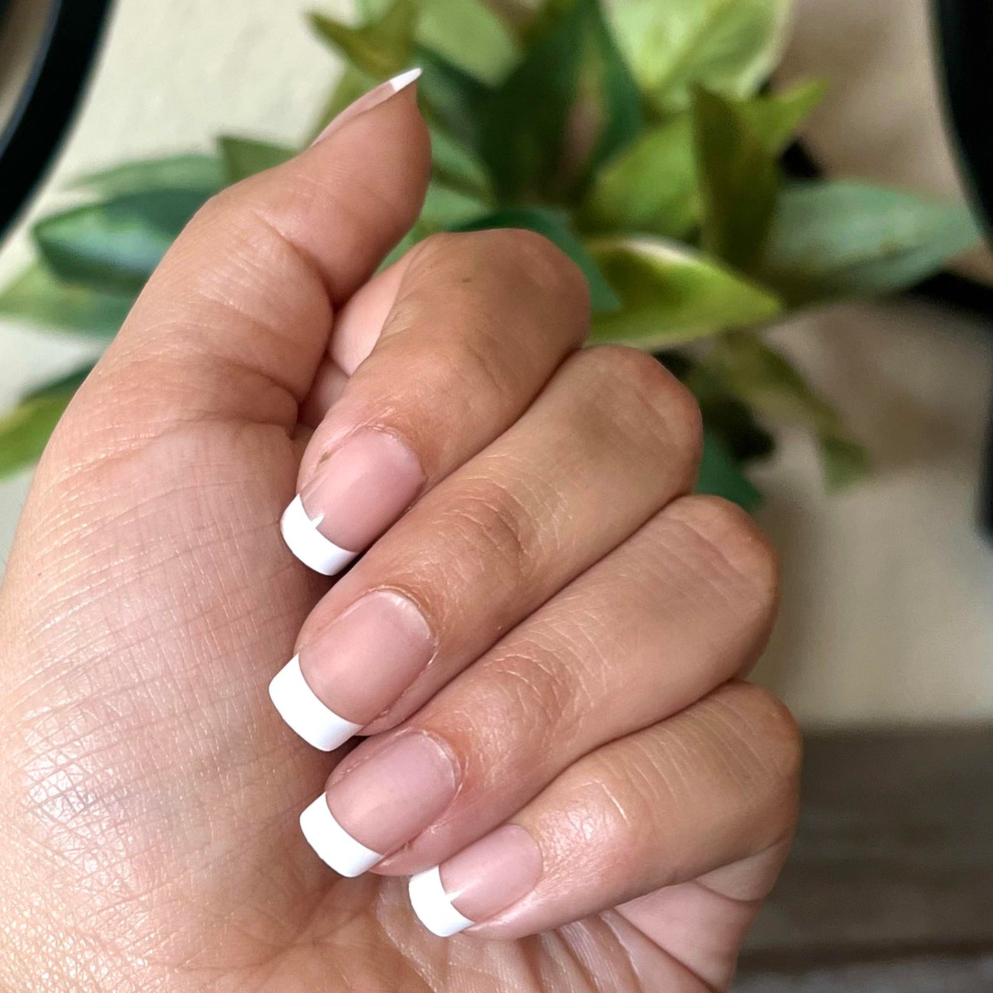 FRENCHIE Press-On Nails by Lavaa Beauty | Medium Square | French Tip on Nude Glossy Base