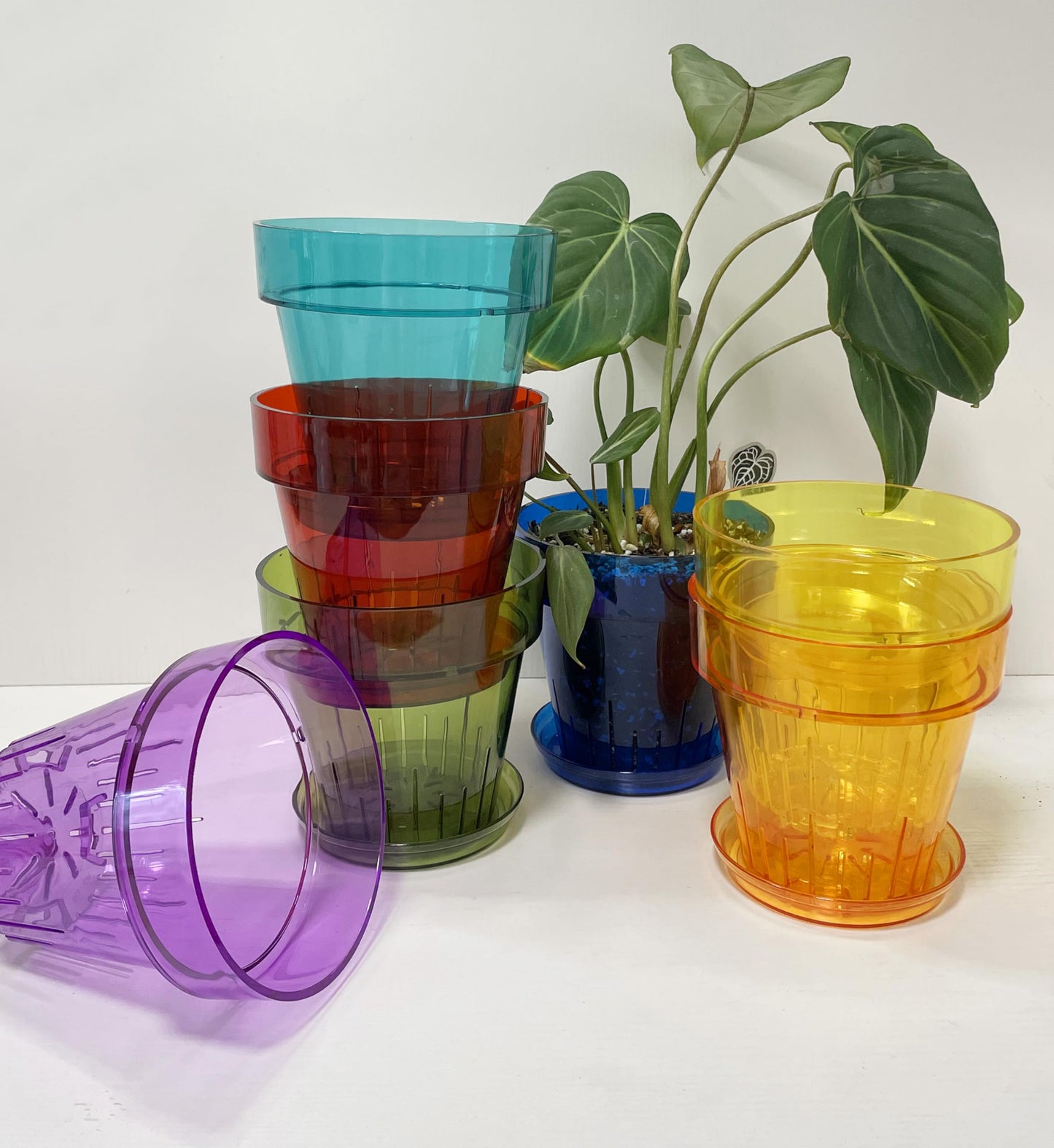 RISEON 3 Pack Clear Acrylic Plastic Orchid Pots with Holes and Saucers,Thick Acrylic Planter Pot, Orchid Dendrobium Oncidium Cattleya Repotting Pot Indoor Outdoor (Violet)