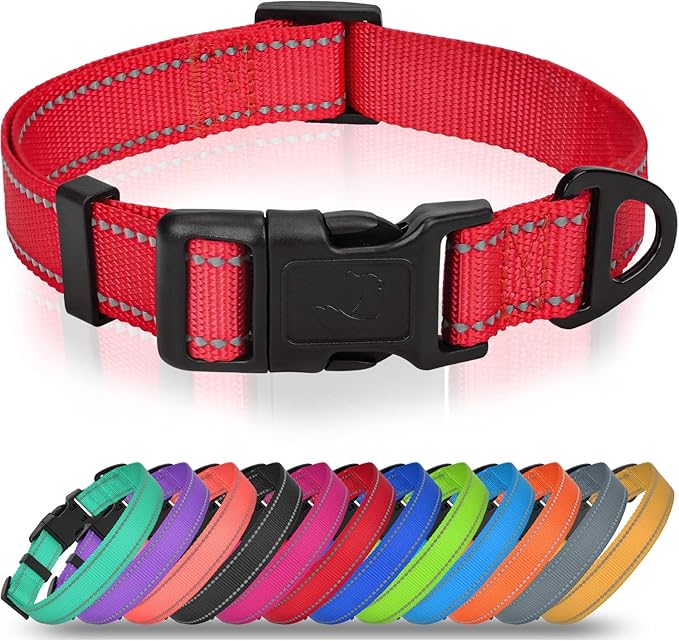 Joytale Feather-Light Dog Collar for Medium & Large Dogs, 1", Red