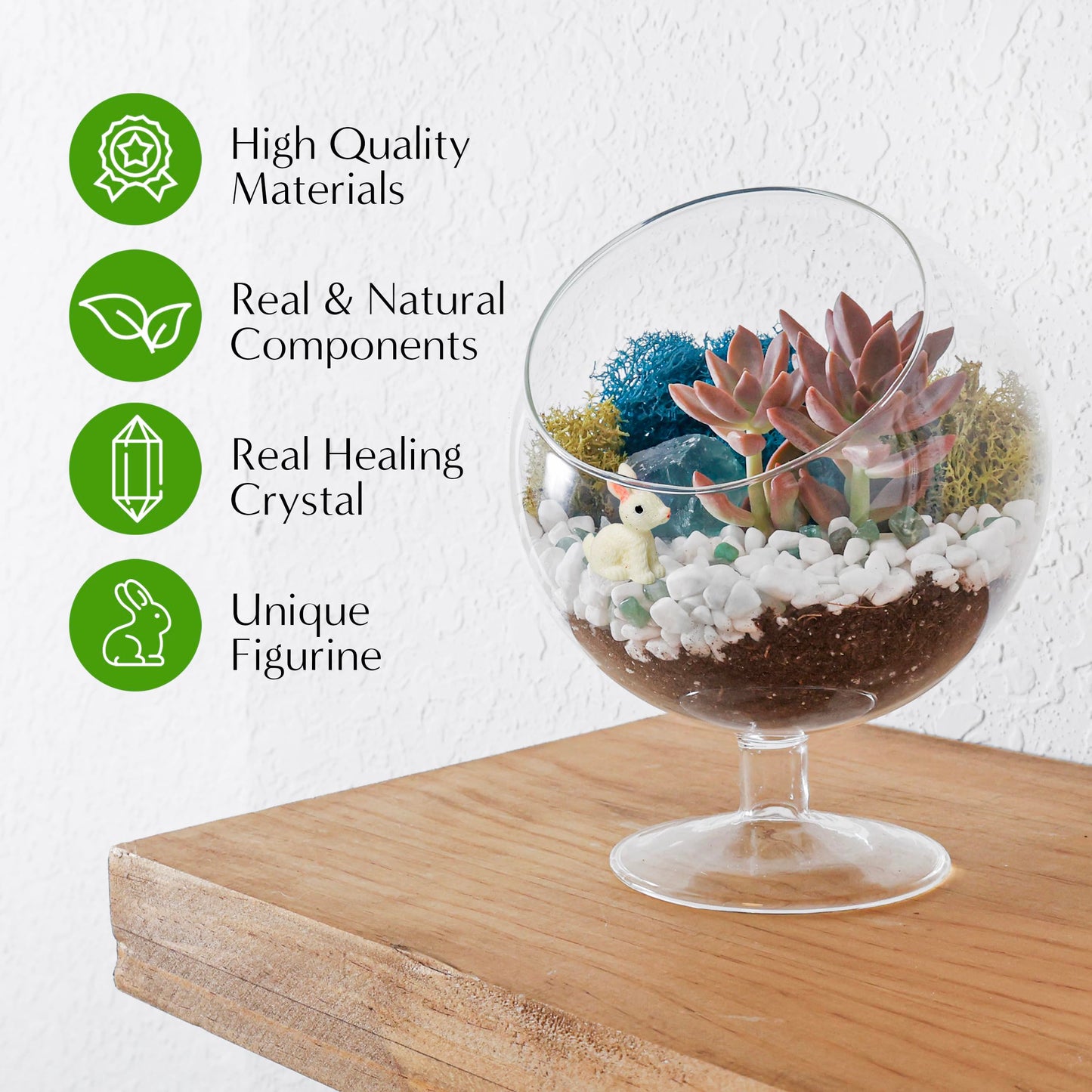 Creations by Nathalie DIY 6" DIY Chalice Terrarium Kit - Build Your Own Glass Terrarium for Adults & Teens with Moss, Crystals, Tools & Decorative Figurine - Mini Ecosystem (Plant Not Included)