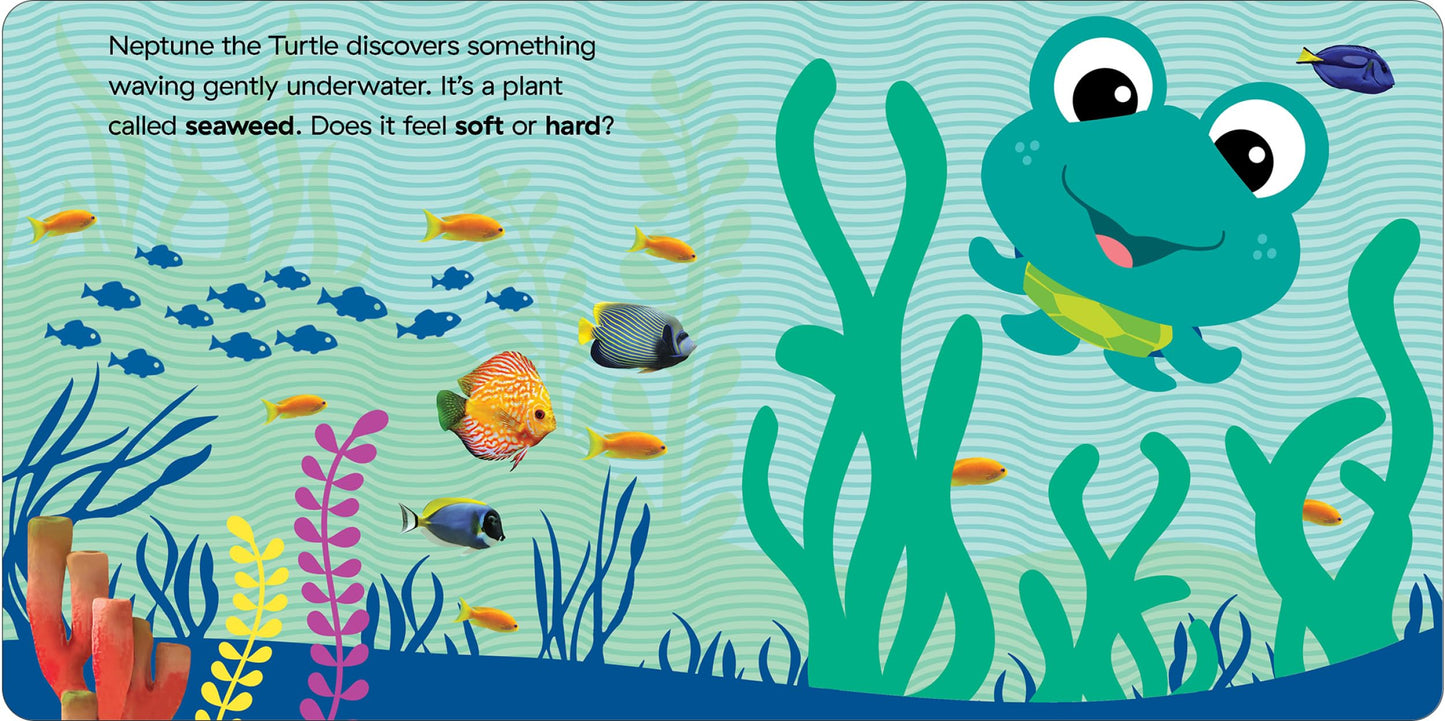 Baby Einstein Ocean Explorers: Discover the Ocean Touch & Feel