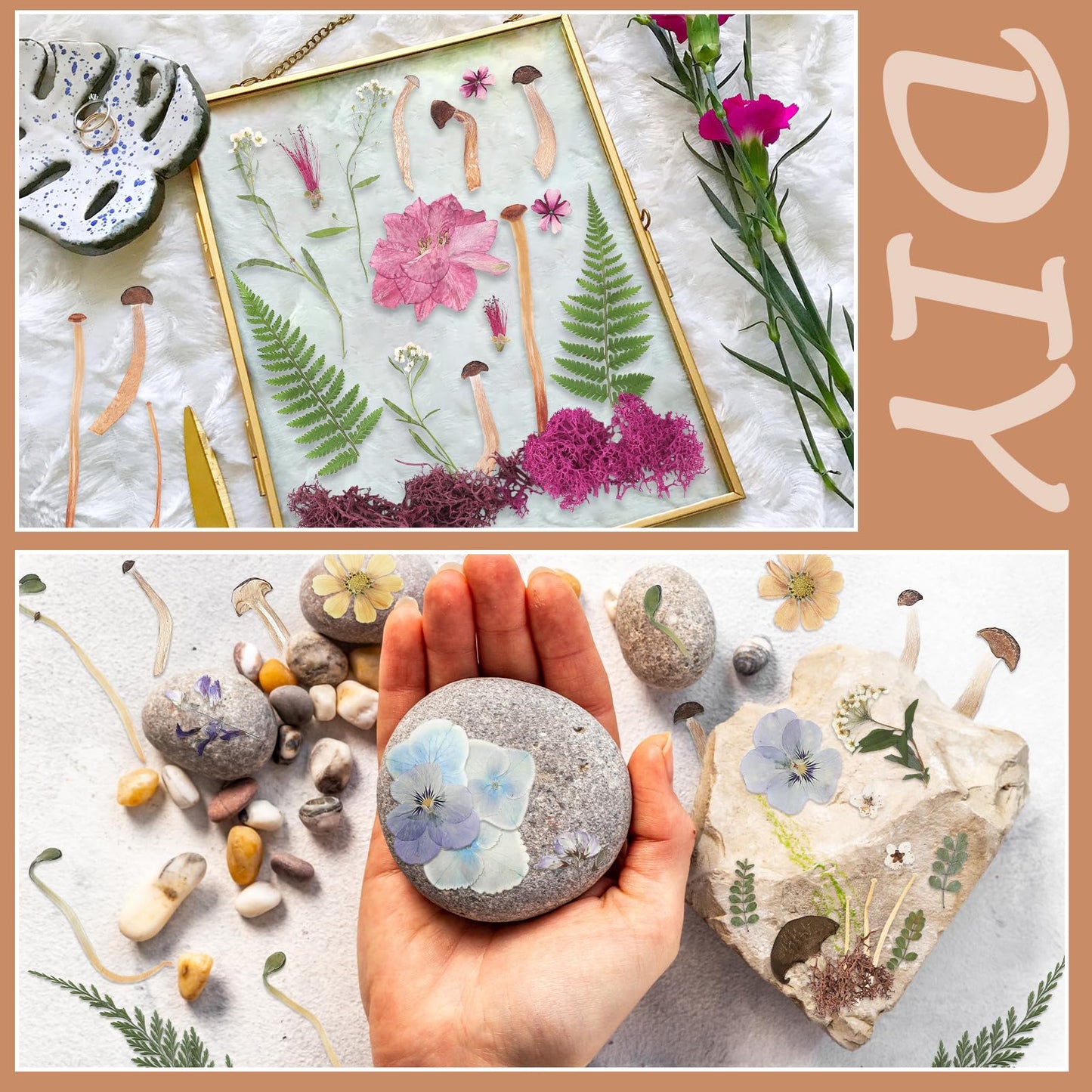 Nuanchu Dried Pressed Flowers for Resin Molds Dried Mushrooms Crafts Fake Mushrooms Natural Pressed Wildflowers Leave with Tweezer for Mother's Day Crafts Scrapbooking Nail Soap Making DIY Supplies