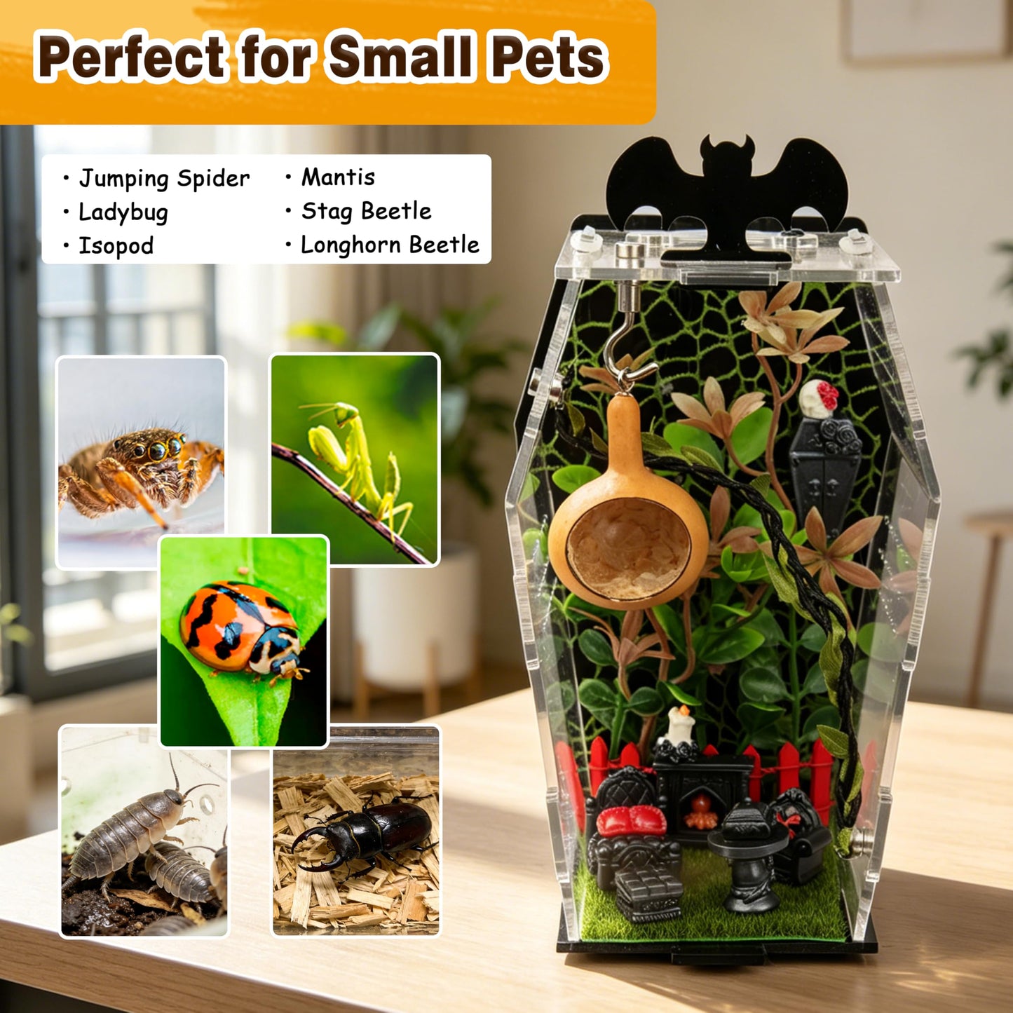 ZUIFIANLE 19PCS Jumping Spider Enclosure Kit, Acrylic Goth Coffin Terrarium with Magnetic Lock & Feeding Hole, DIY Decor Set for Tarantula Mantis Insect Habitat, Black Base