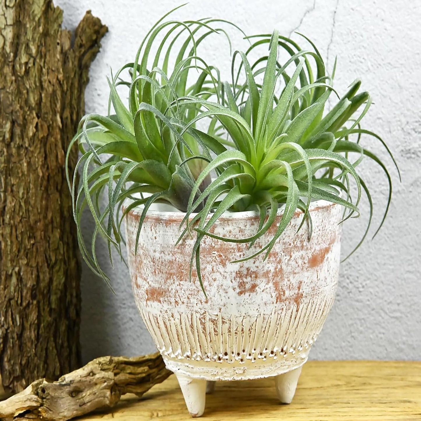 2 Pack Artificial Air Plants, Realistic Looking Faux Tillandsia Succulents Plants for Home Decor, Indoor Outdoor Garden, Terrarium, Office Desk, Wedding Displays (Green)
