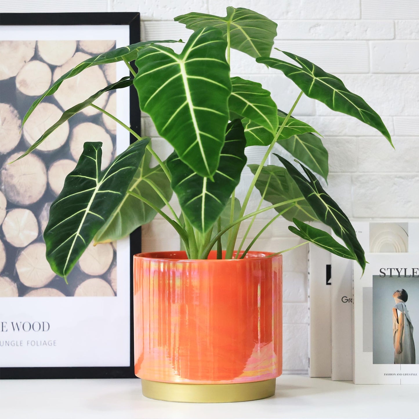 Gepege Peach Indoor Plant Pots for Plants, Large Ceramic Planter with Drainage Hole, 9.6-inch Succulent Orchid Flower Pot - Rainbow Pearl Glaze