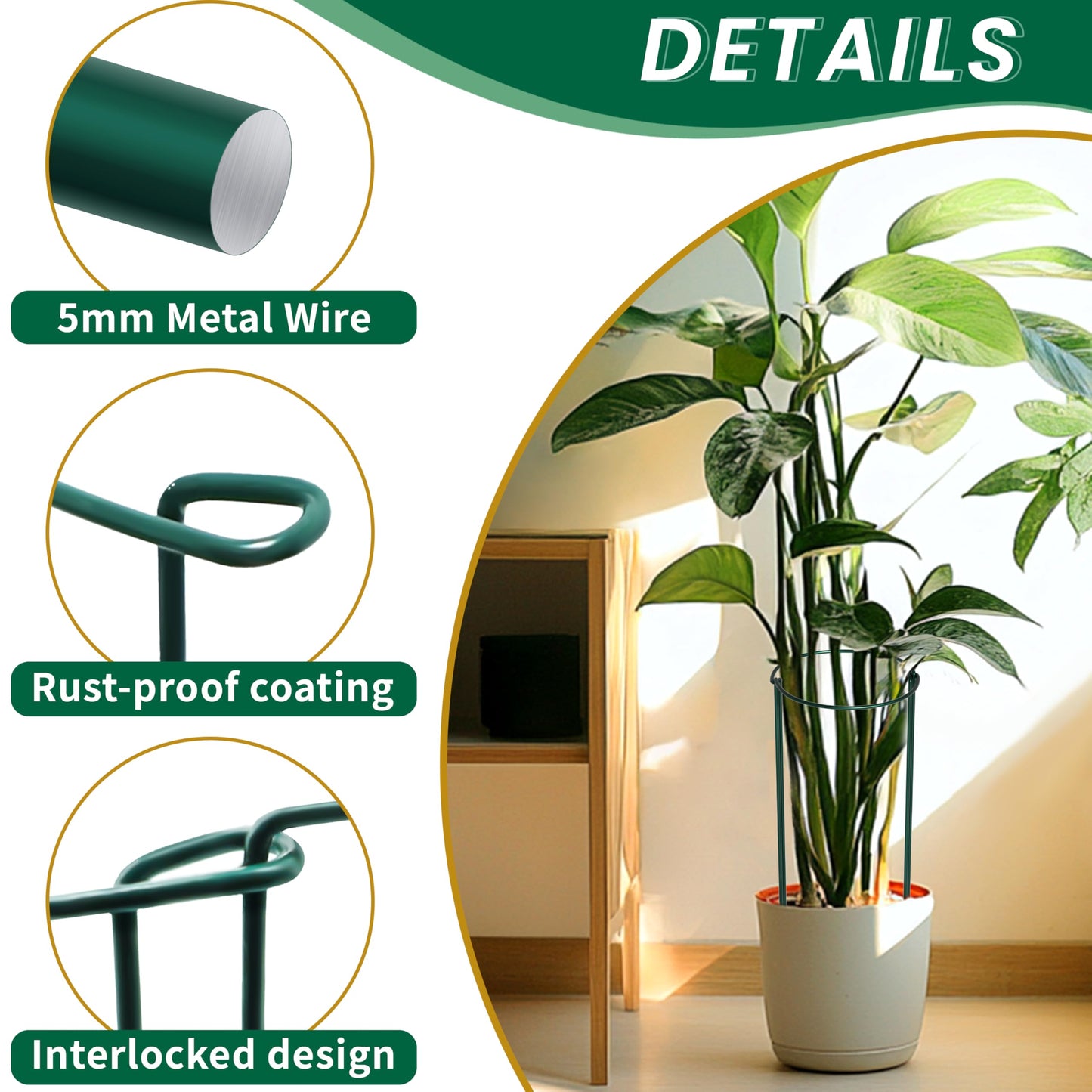 TCBWFY 14" Dx32 H Plant Supports Stakes for Large Heavy Plants,10Pack Peony Supports,Heavy Duty 5mm Wire Peony Cages,Interlock Garden Supports Ring Border Support,Plant Support Cage for Rose Flower