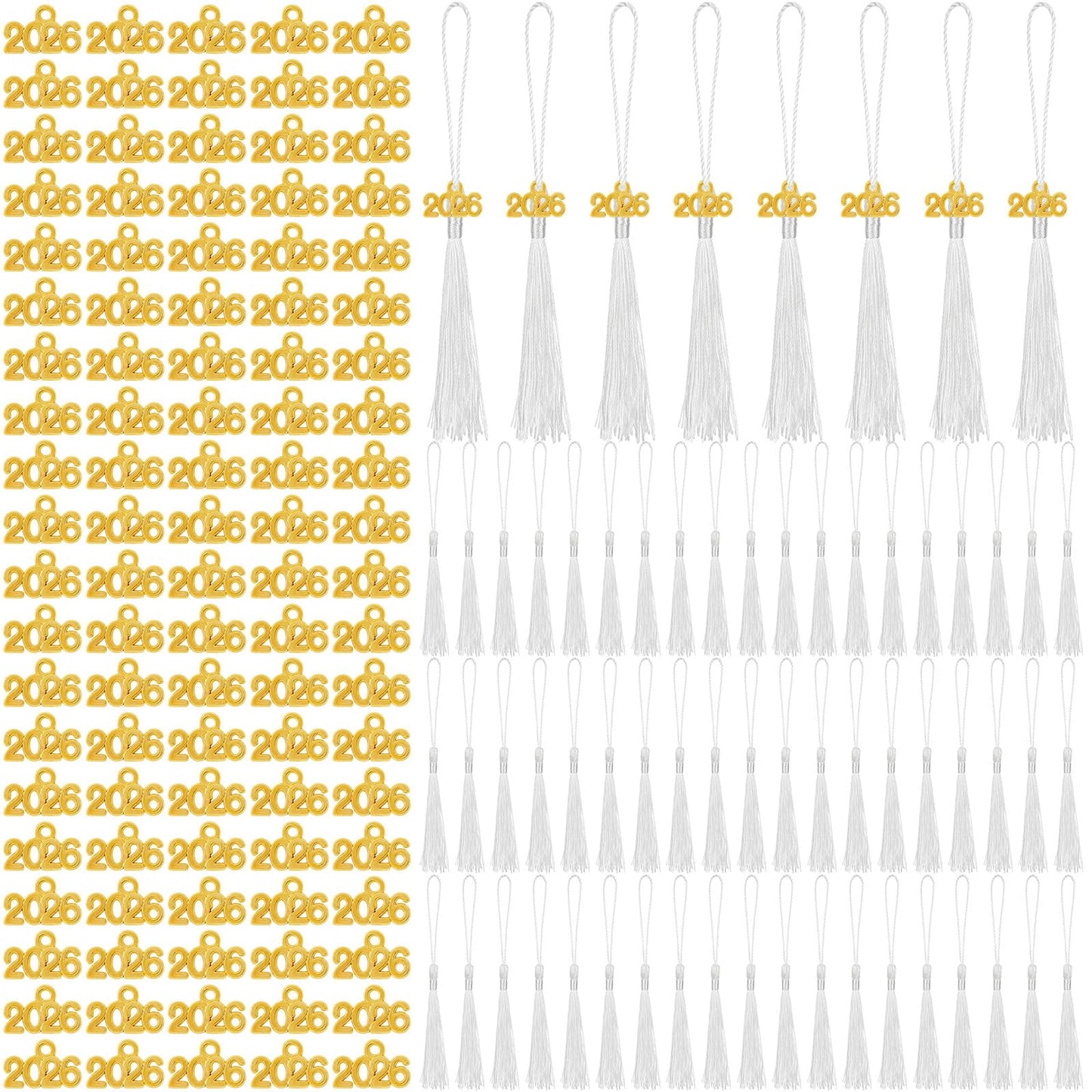 Cindeer 100 Pcs Mini Graduation Tassels with 100 Pcs 2026 Tassel Charms for Crafts Mini Silky Bookmark for Graduation Cap Keychain Ornaments DIY Craft Jewelry Making Project(White)