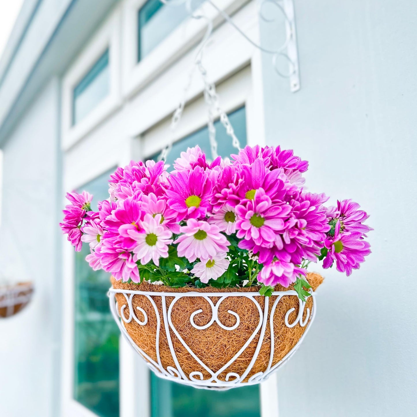 LaLaGreen Hanging Baskets for Plants (2 Pack, 10 Inch) Small Hanging Flower Pots with Coco Liner, White Metal Wire Round Plant Holder with Hanger Hook Chain Outdoor Deck Patio Balcony Garden Decor