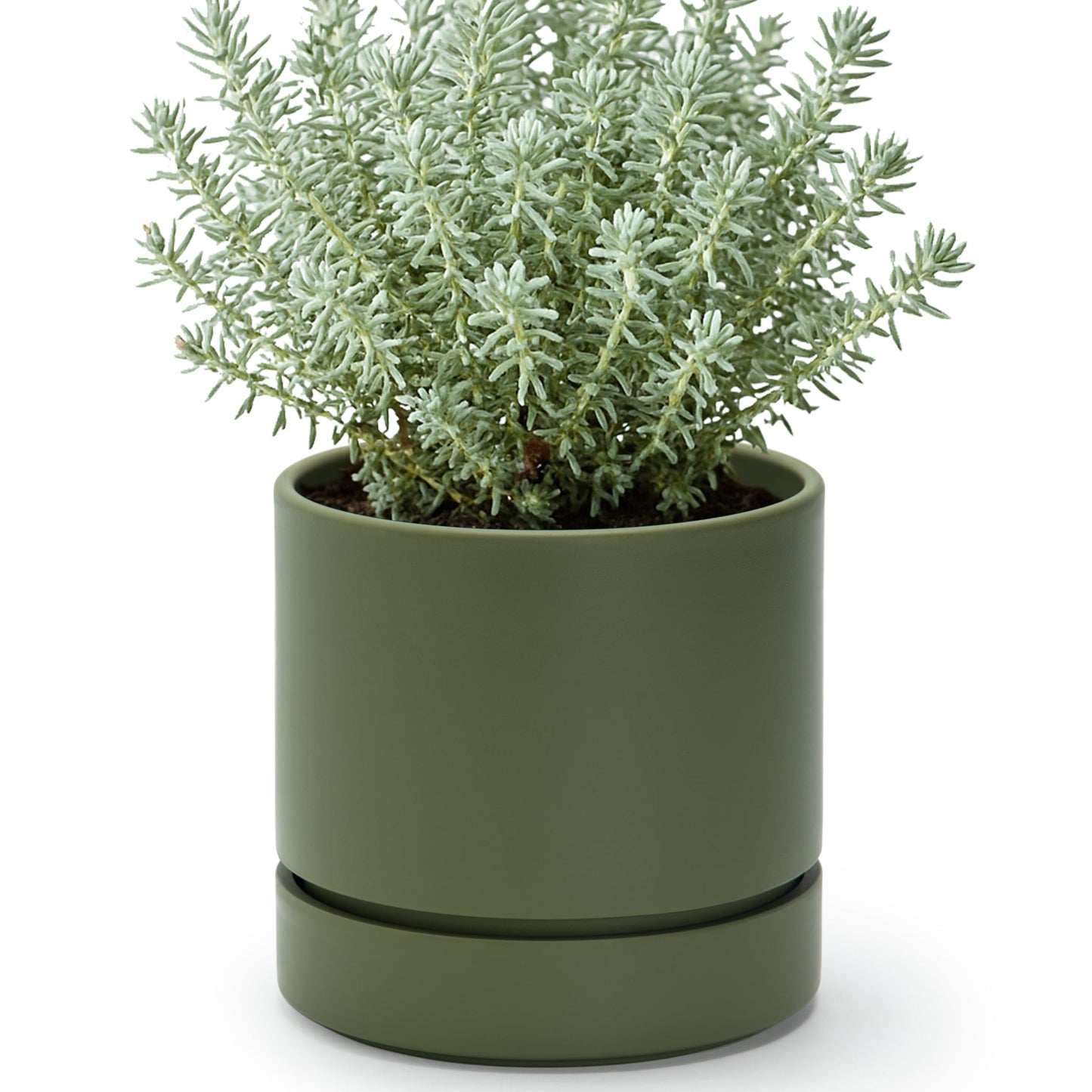 Phoenix Vine 6 Inch Planter Pot with Drainage Hole & Saucer, Deep Water Catch Tray, Straight Cylindrical Round Pot for Plants, Olive, Pack of 1, 23-D-S-1