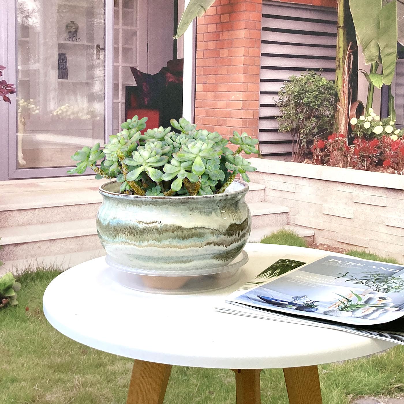 Summer Impressions 8 Inch Succulent Pot with Drainage and Saucer Glazed Terracotta Round Ceramic Succulent Planter Cactus Bonsai Plant Pot (Gream)
