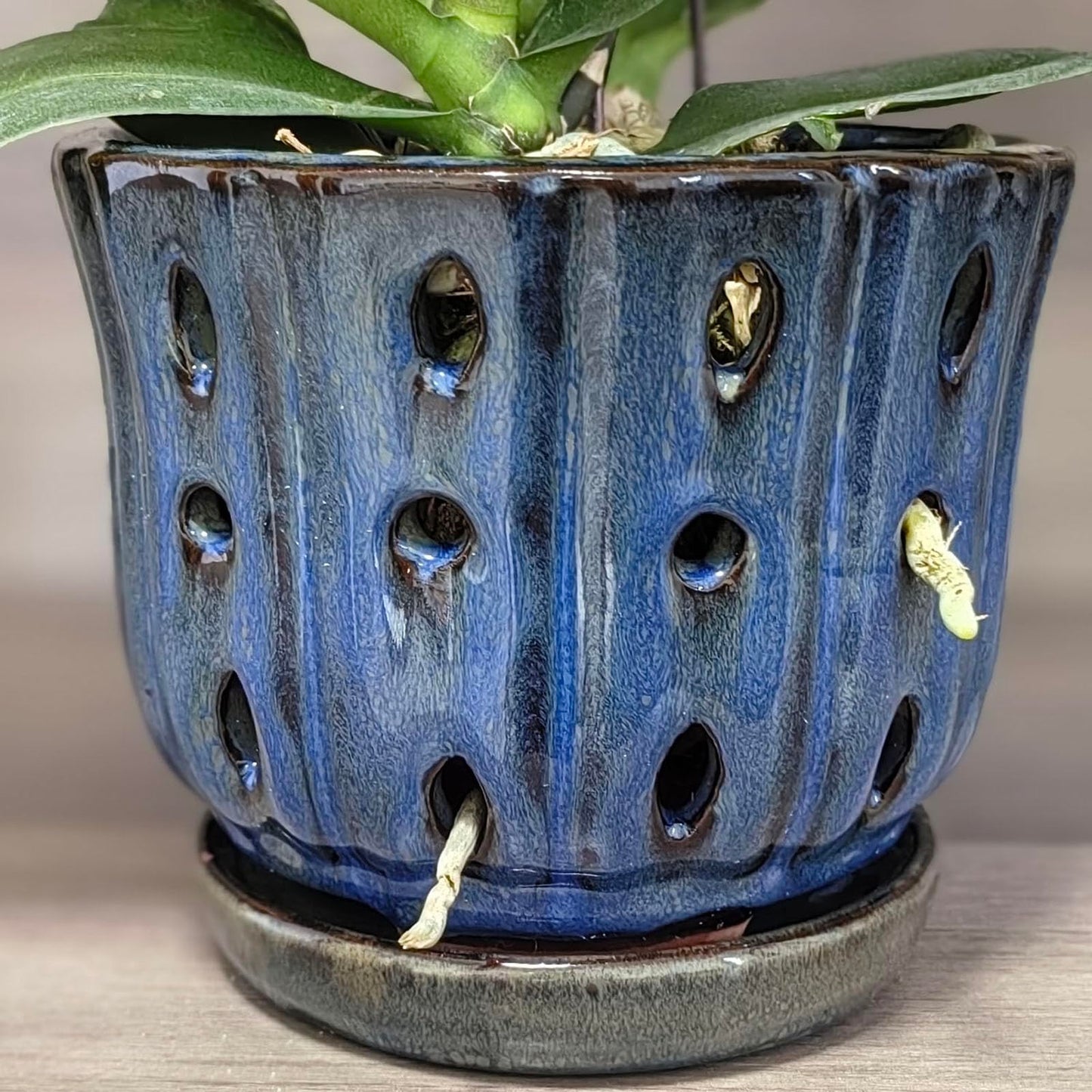 Grdthzey 6 inch Round Ceramic Orchid Pot with Holes Orchid Planter (Dark Blue)