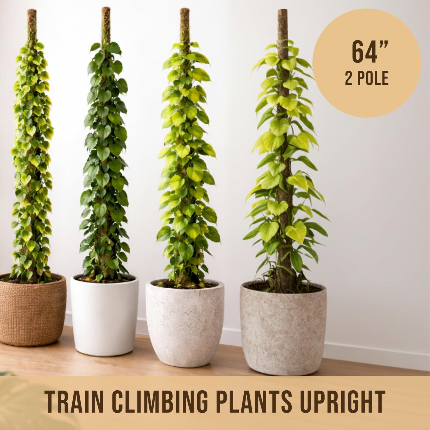Craft911 Moss Pole Monstera Plant Support – 2 Pack 64” Bendable Moss Pole Monstera Plant Support, Plant Stakes for Indoor Plants, Tall Plant Sticks Support for Climbing Plants
