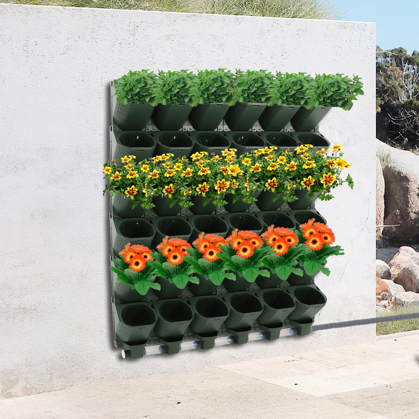 Mlonausz 6 Row 36 Planter Wall Mounted Garden Planter Vertical Garden Self-Watering