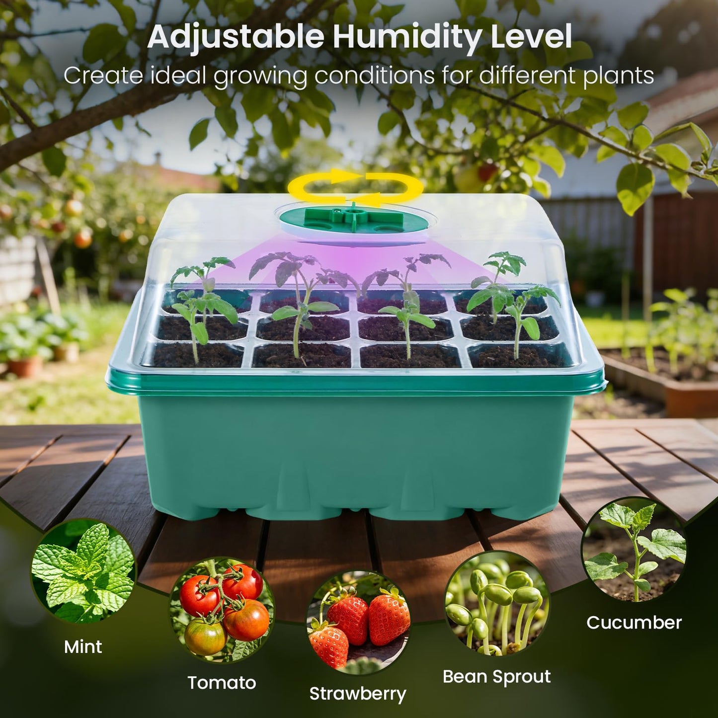 ATEUNJLR 5 Pack Seed Starter Kit with Grow Lights & 3.9" Humidity Domes, 72 Cells Indoor Germination Trays, Full Spectrum Adjustable LED, Reusable Plant Starter System for Year-Round Gardening