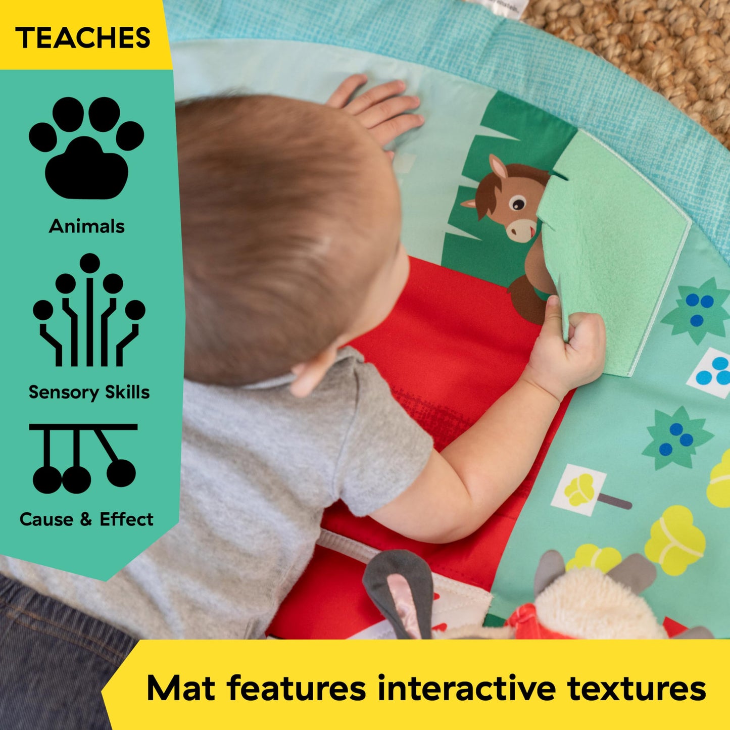 Baby Einstein Ingenuity Farm Explorers Happy Harvest Touch & Feel Baby Play Gym & Mat with 5 Removable Toys, 20+ Songs & Sounds, Ages 0+ Months