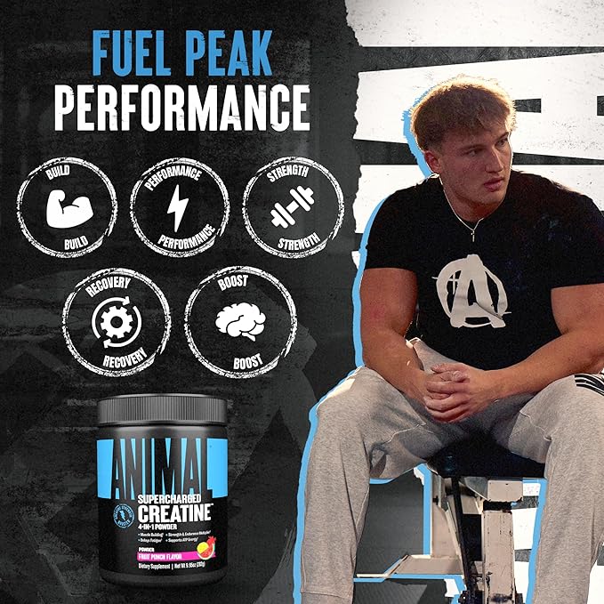 Animal Supercharged Creatine Powder - Flavored Creatine Monohydrate Enhanced with Betaine Anhydrous, PurpleForce & Senactiv, Strength, Endurance, Muscle Recovery for Men and Women – Fruit Punch, 300g