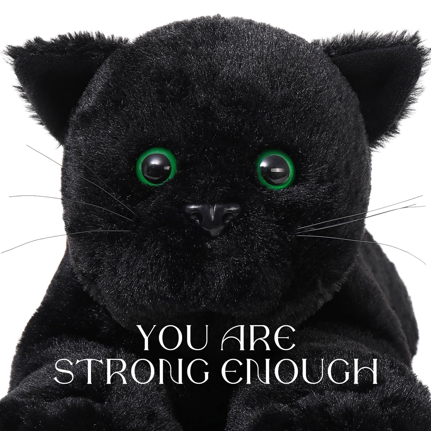 MaoGoLan 5Pcs Black Cat Plush with 4 Babies Inside - 20" Big Black Cat Stuffed Animals - Realistic and Soft Halloween Plushies Gift for Cat Lover,Women,Girls,Kids