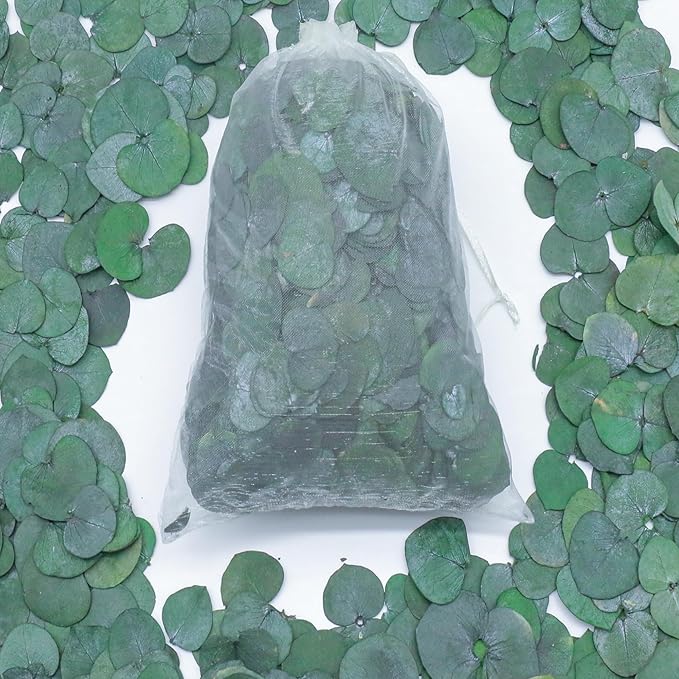 3200Preserved Real Eucalyptus Leaves Small, Pure Natural Bulk Eucalyptus, Biodegradable Wedding Leaves Confetti for Anniversaries, Birthday, Graduation, Bridal Showers, Party Decor