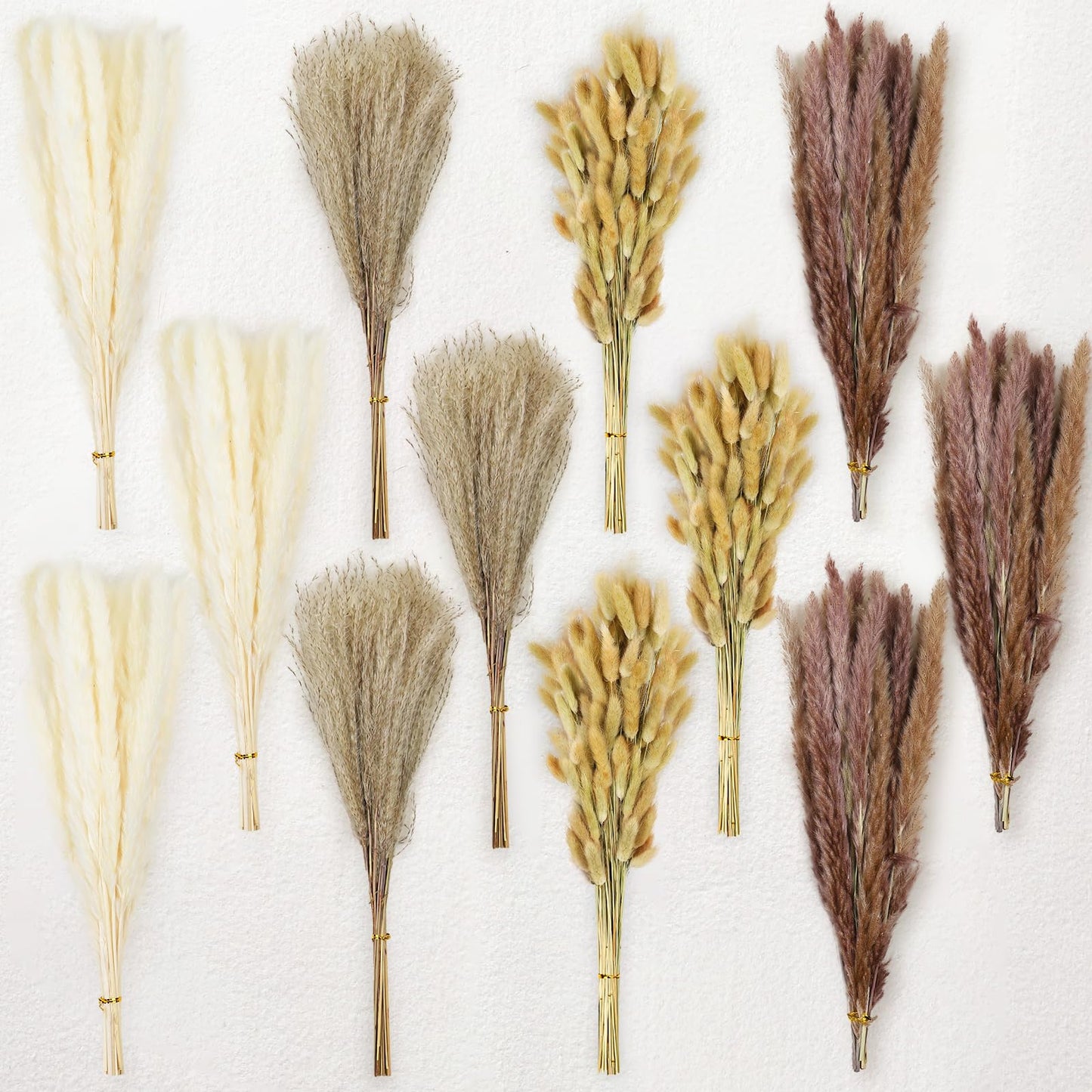 Le courant 17" 300Pcs Dried Pampas Grass Decor, Naturally Small Boho Pampas Grass with Bunny Tails & Reed Grass for Home Table Decor, Wedding, Rustic Farmhouse Party Decorations, White and Brown