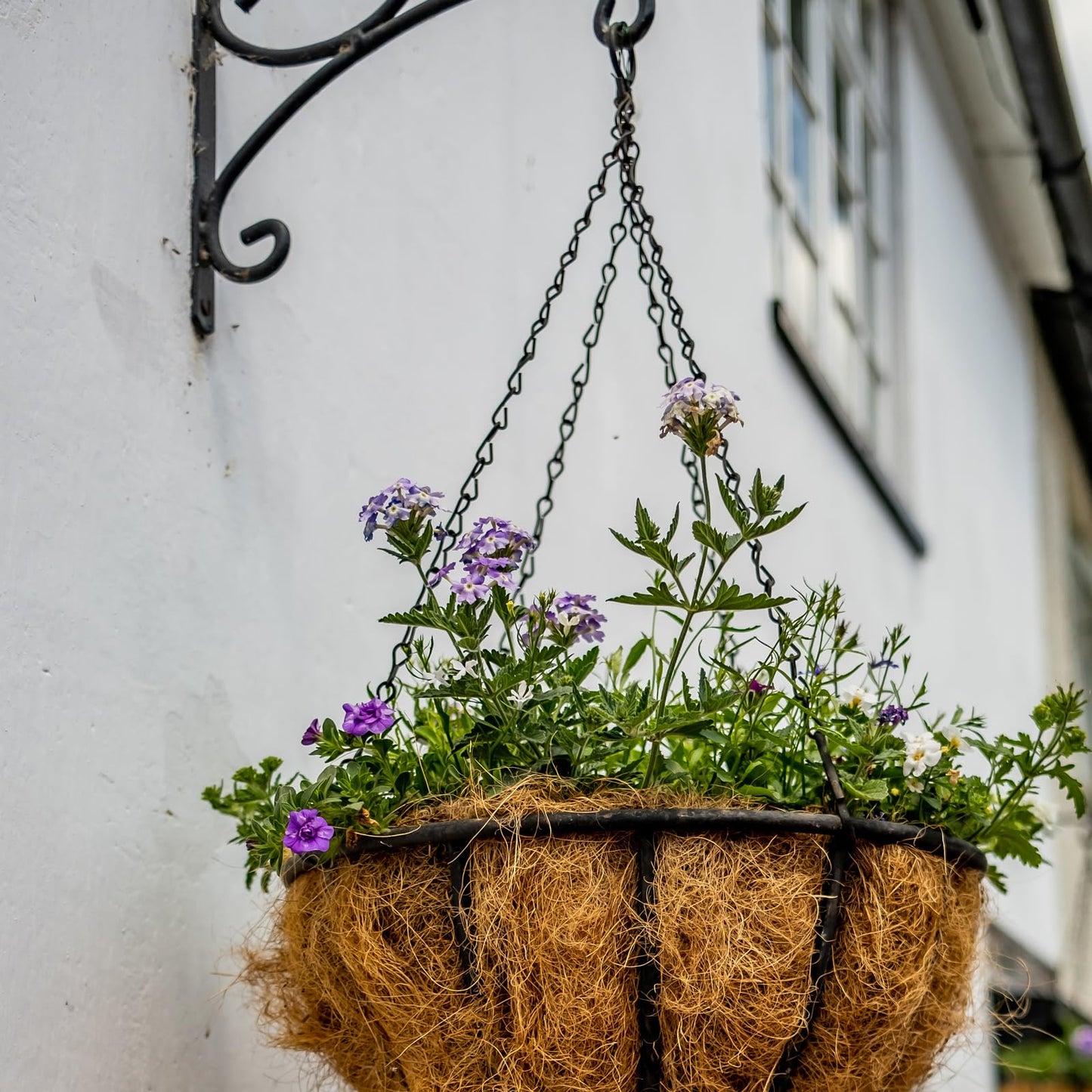 suiwotin 3pcs 16 Inch Hanging Basket Chains 3 Point, Black Chain with Hooks for Hanging Plants, Flower Pot