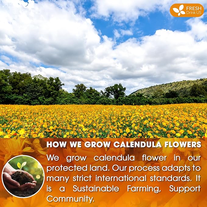 FRESHDRINKUS Calendula Tea Bags, 75 Count, Herbal, Vegan, Sugar Free, Caffeine Free, Gluten Free, 100% Natural Calendula Flowers