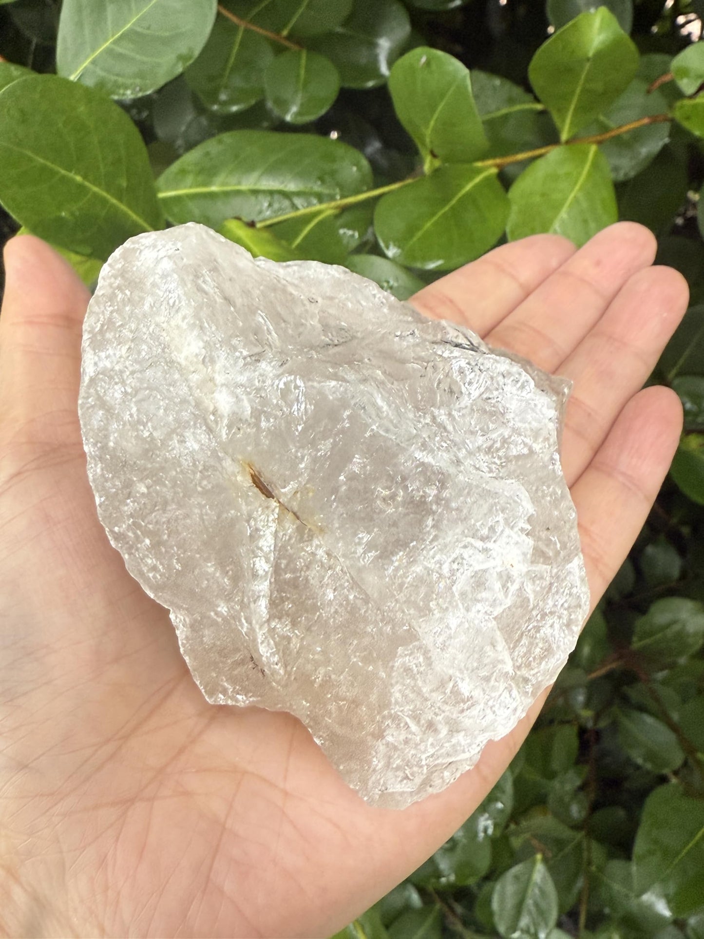 GAF TREASURES XL Raw Clear Quartz, 3-4" Natural Rough Clear Quartz, Clear Quartz Rough, Clear Quartz Healing Rough Crystal (Clear Quartz, 0.5-1 lb)