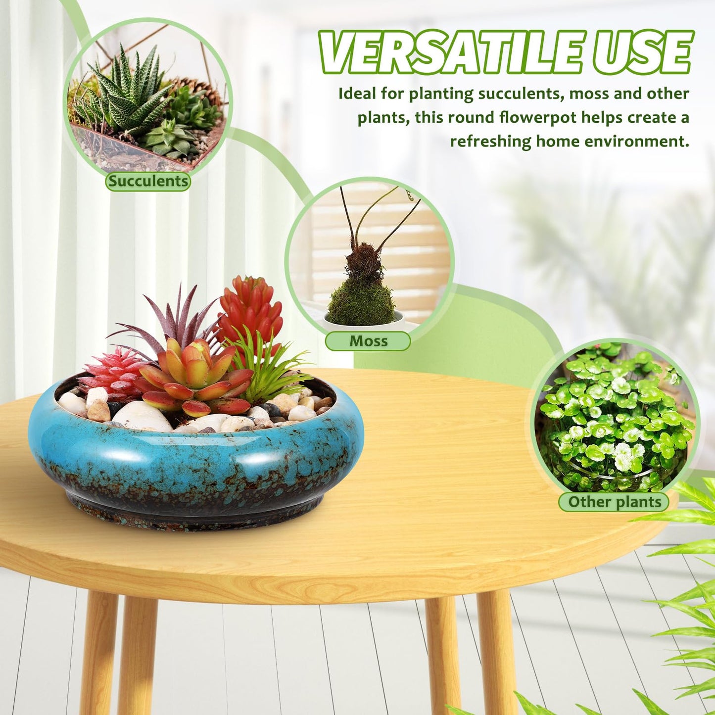Toddmomy 2pcs Cute Flower Pot with Drainage Ceramic Succulent Planter Bowl Indoor Plant Pot Planter