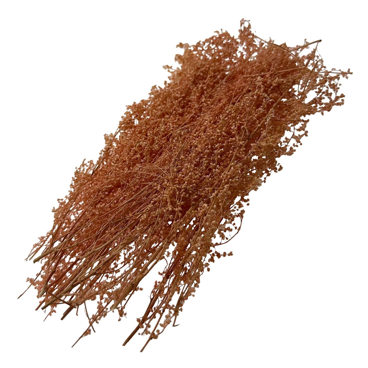 Woohome 3 Pack Miniature Shrubs Model Bushes Long Shrub Vegetation Groups Model Grass Tufts for DIY Architecture Building Model Railway Train Diorama Garden Scenery Landscape Layout (Light Colour)
