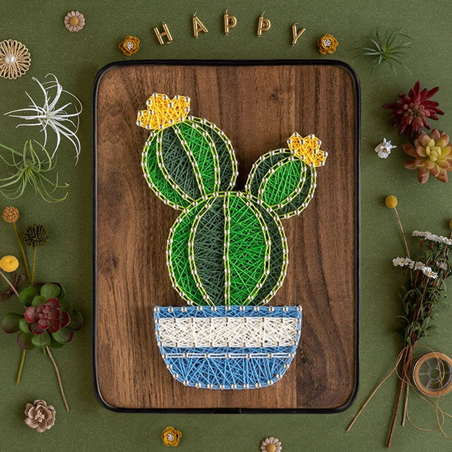 BAZIMA DIY String Art Kit for Beginner, DIY Cactus Potted Craft Kit,Unique Gift,Craft Kit for Holidays