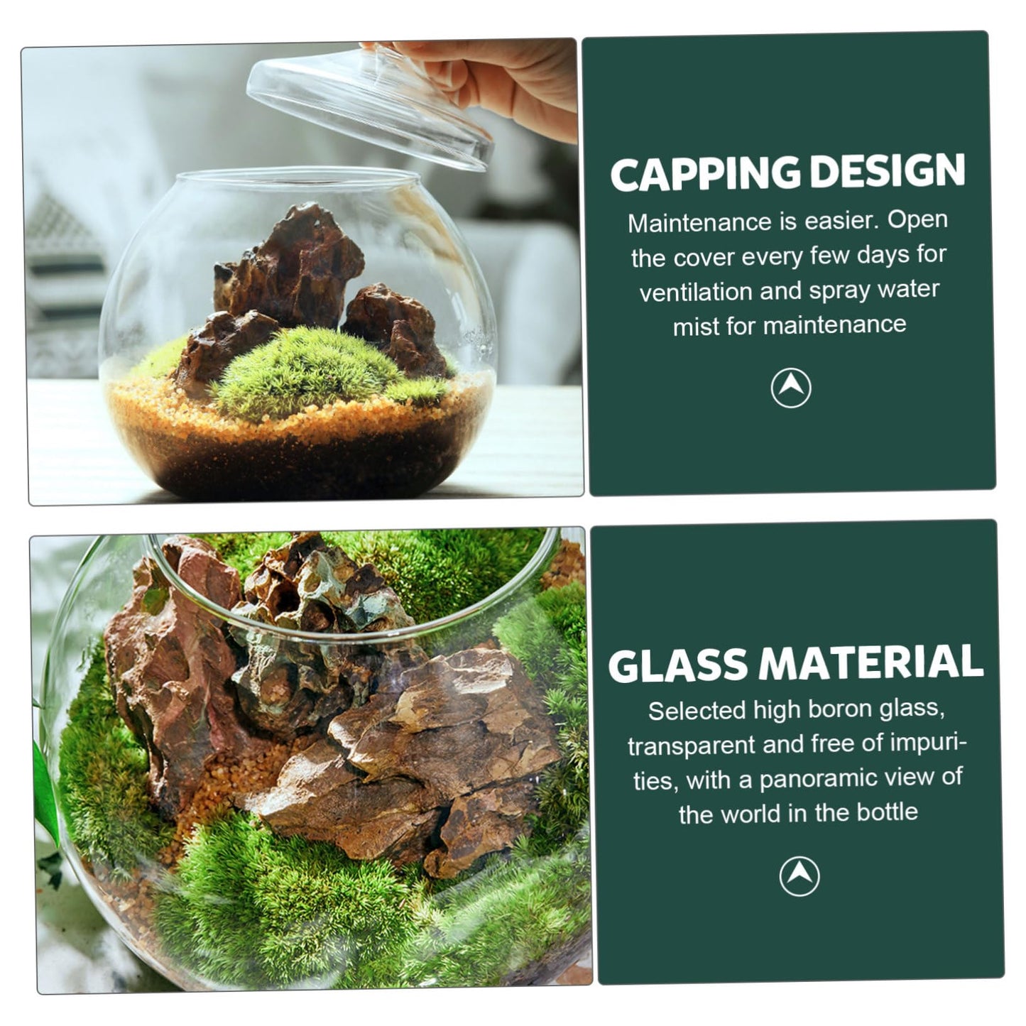 1Set Micro Landscape Bottle for DIY Terrarium Crafts Glass Eco Bottle with Style Lid Indoor Home Decor Creative Plant Display for Moss Miniature