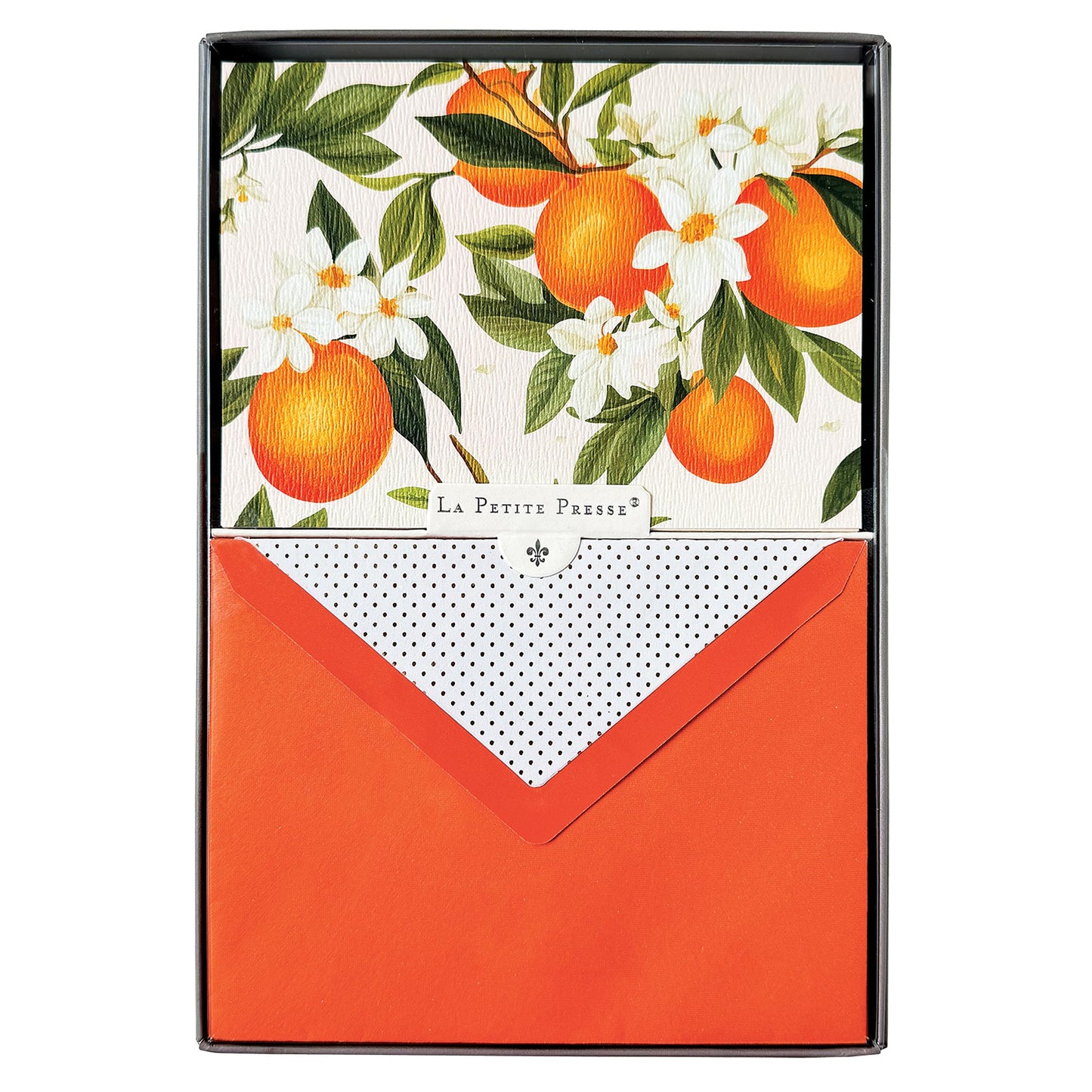 Graphique L’Orange Designer Cards Luxe Collection, Silver Foil Embossed Stationery Boxed Set, 10 Blank Cards with 11 Envelopes, All Occasion Greetings, 5.25" x 3.8"