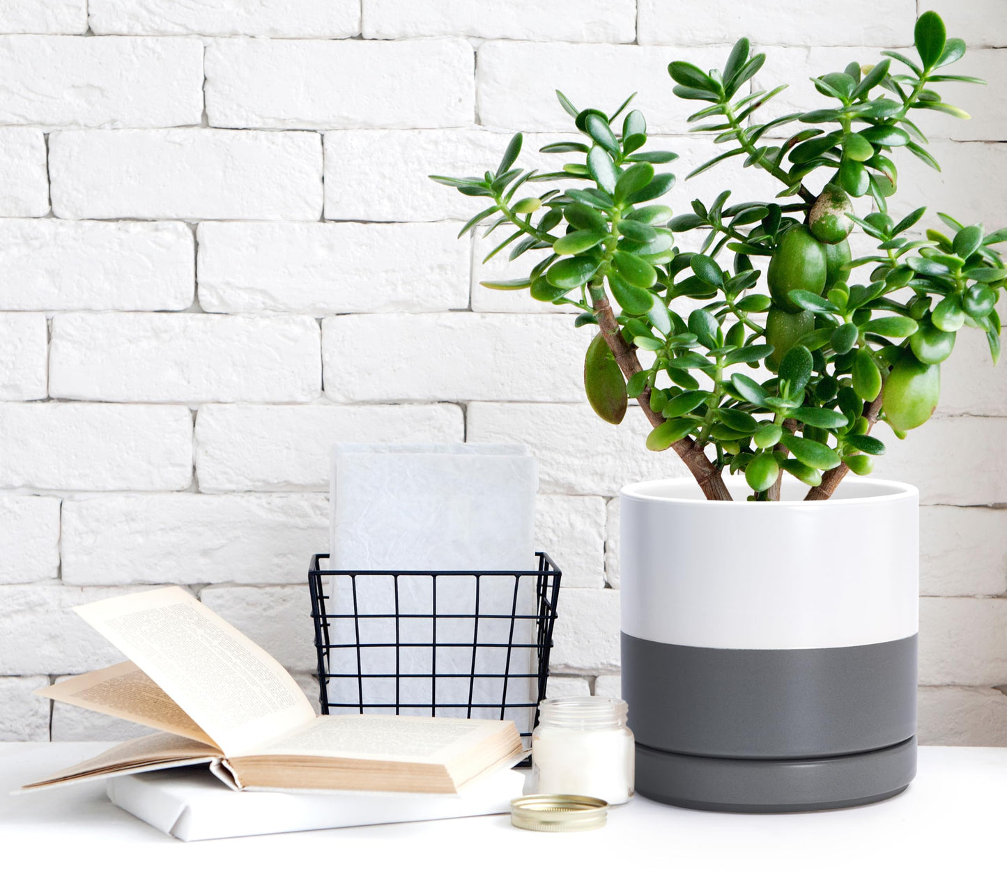 D'vine Dev 4.7 Inch & 6.5 Inch Ceramic Planter Pots for Plants with Drainage Hole and Saucer, Small Plant Pots Set, White/Speckled Grey, 94-G-S-6