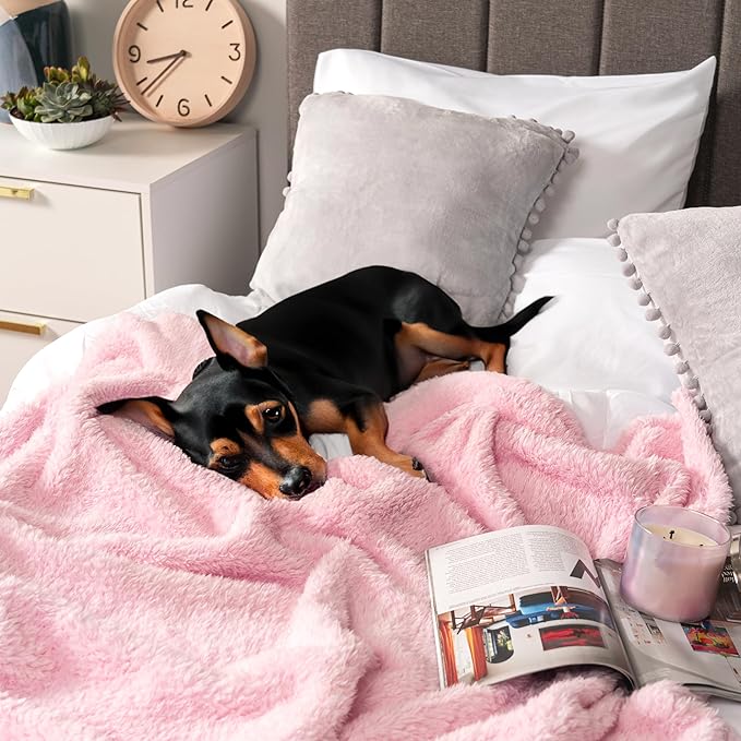 PAVILIA Sherpa Throw Blanket for Couch Sofa, Light Pink Fluffy Warm Plush Blanket for Bed, Cozy Super Soft Lightweight Throw, Fuzzy Decorative Blanket, All Season Home, 50x60