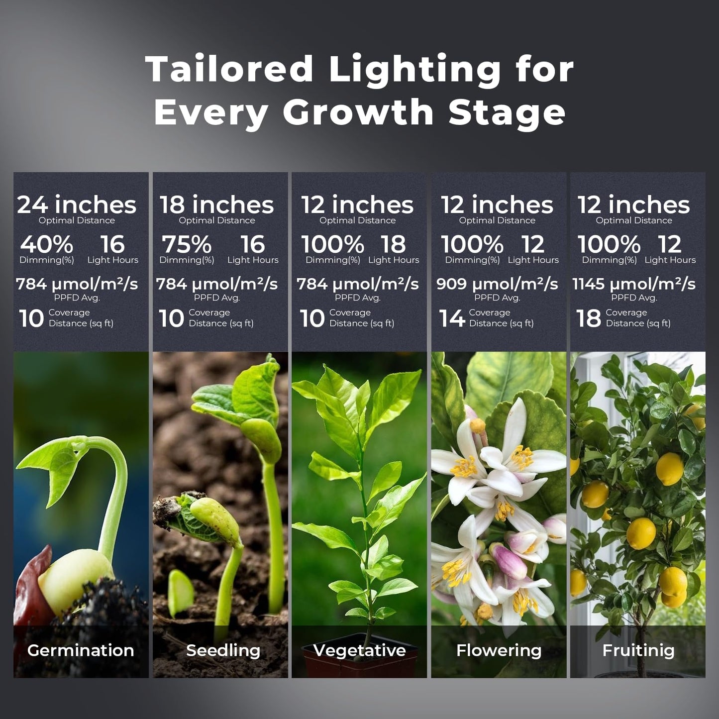 AJABotanics Hanging Grow Light for Indoor Plants, Full Spectrum LED, 200W High PPFD, Dimmable with Timer & Daisy Chain, IP65 Waterproof Grow Light, for Seed Starting, Vegetative, Bloom & Fruiting