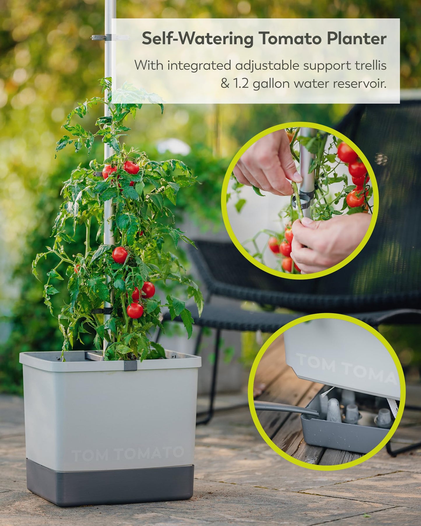 BUZZY Seeds Self-Watering Vertical Tomato Planter with Trellis – 1.2 Gal Reservoir, Large Capacity Planter for Tomatoes & Climbing Plants (Grey)