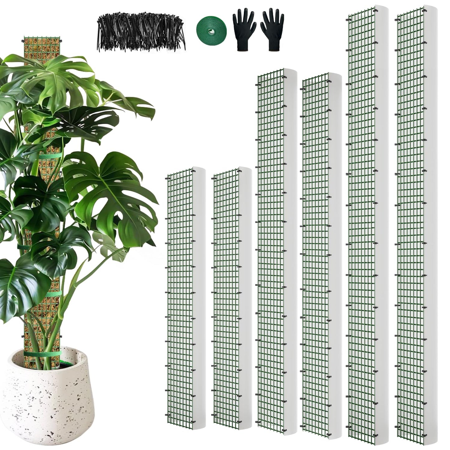 HOLANHING 60"/40"/24" Metal Moss Pole, D Shape Sphagnum Moss Pole, Moss Poles for Climbing Plants, Monstera, Indoor Climbing Plants (2 Each of 60" 40" 24")