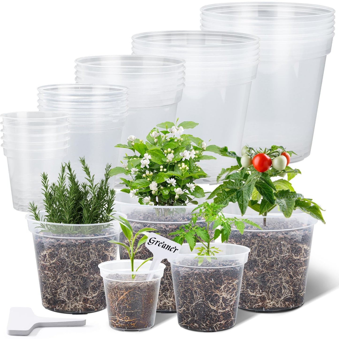GREANER Clear Nursery Pots, Plastic Plant Pots with Drainage for Succulents, Flowers and Cactus, 3/4/5/6/7 Inch(Pack of 30)