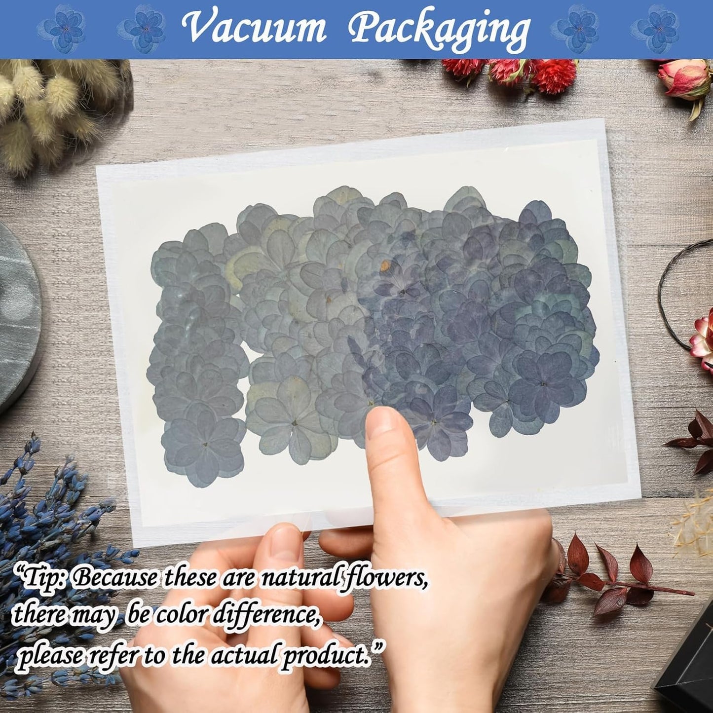 ALJ Blue Dried Flowers Double Hydrangea for Resin Crafts Embellishments, 60PCS Natural Pressed Flowers for Resin Jewelry DIY Phone Case Decor Candle Making Decoration