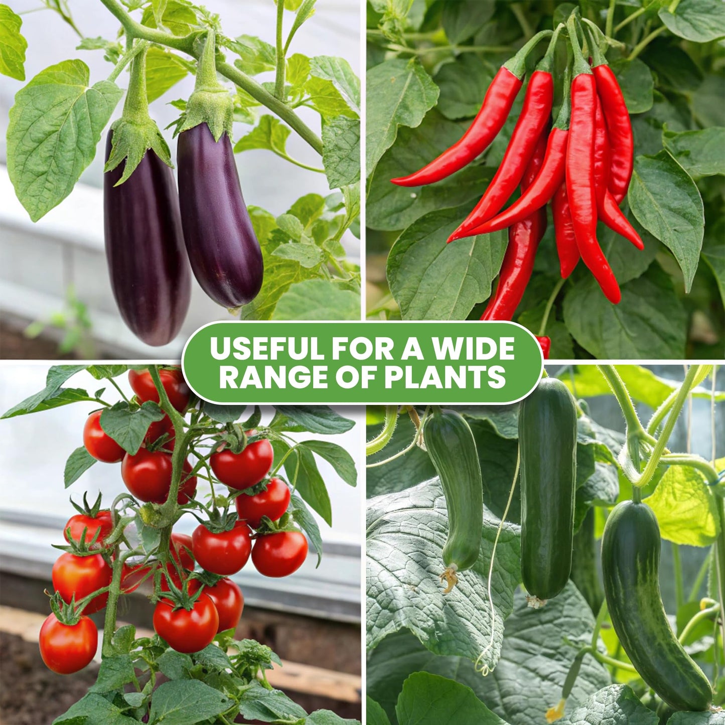 Square Tomato Cage - Large Trellis Stakes and Plant Support Structures for Vegetables and Climbing Plants - Tall Tomato Cages for Garden, Pots, Raised Garden Bed Outdoor Supplies (3 Pack - Up to 41")