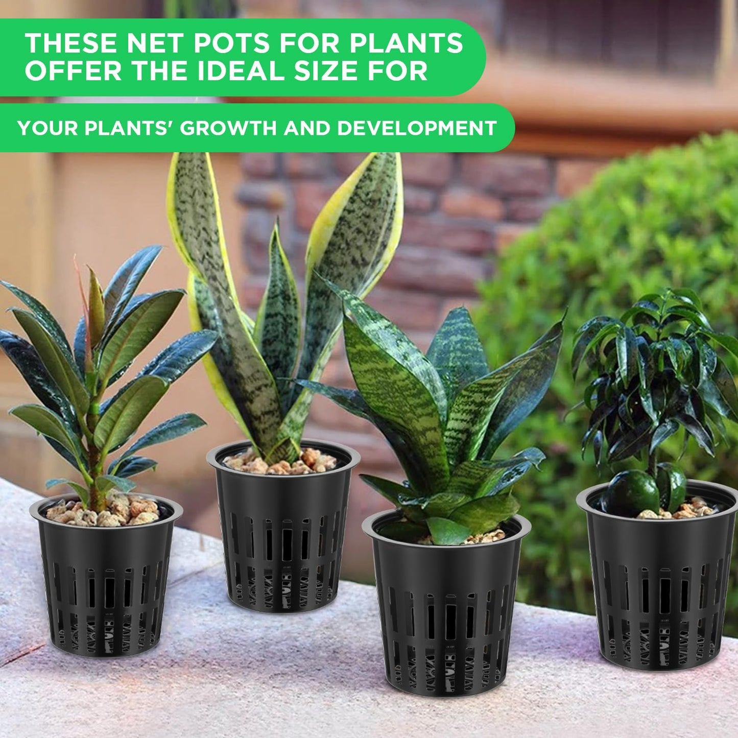MAQUITA 18 Pcs Orchid Pots Variety Size 2.3/3.3/3.9/4.3/4.9/6.1 Inch Black Net Pots Plastic Aquaponics Hydroponic Baskets Slotted Mesh Orchid Planter Container with Hole for Growing