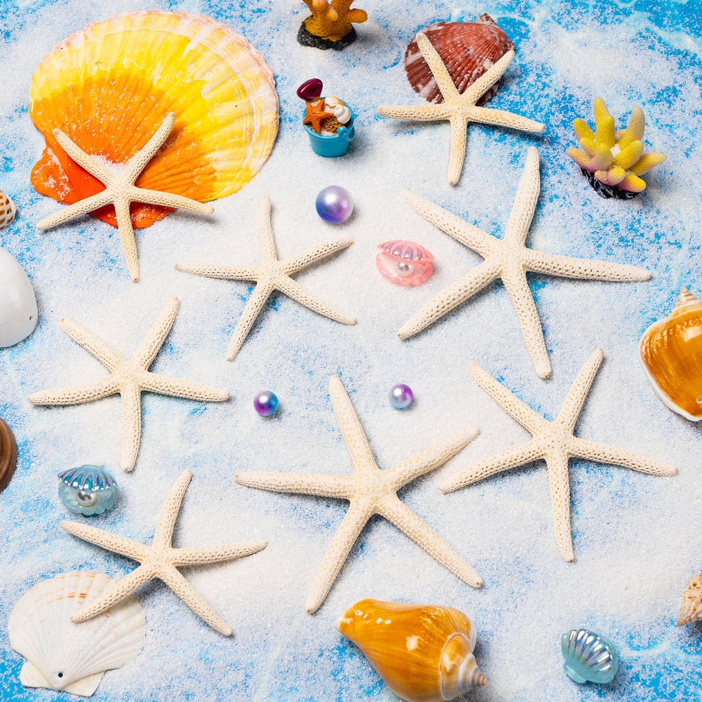 24 Pcs Starfish for Crafts, 2'' to 4'' Star Fish Shells Decorations, Natural Starfish Decor Bulk for Beach Theme DIY Crafts Christmas Tree Ornaments