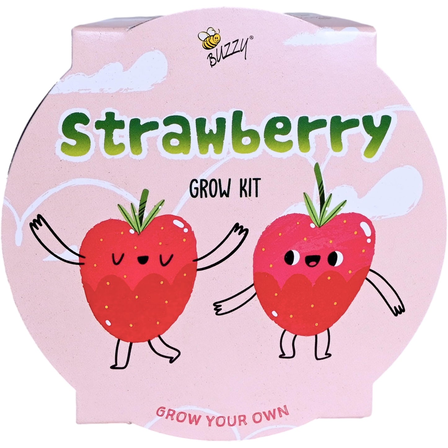 BUZZY Seeds Mini Basin Gardening Kit with Strawberry Seeds for Planting, Flowering Fruit Starter Set, Indoor Plants, DIY Plant Project, Party Favor