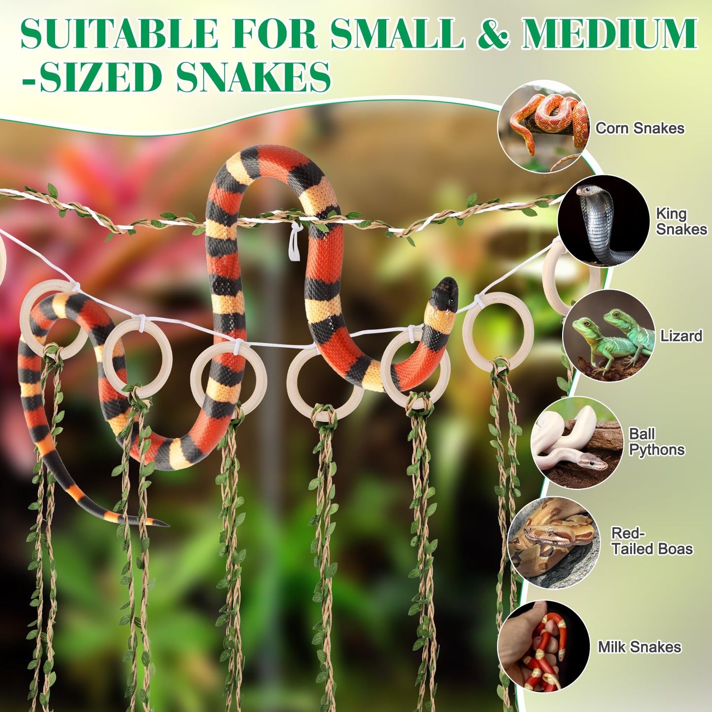 Coldairsoap Snake Climbing Vines with Reptile Plants Kit, Handcrafted Jungle Vines, Snake Enclosure Accessories for Ball Pythons, Corn Snakes, Bearded Dragon, Chameleon, Lizard, Snake Enrichment Toys