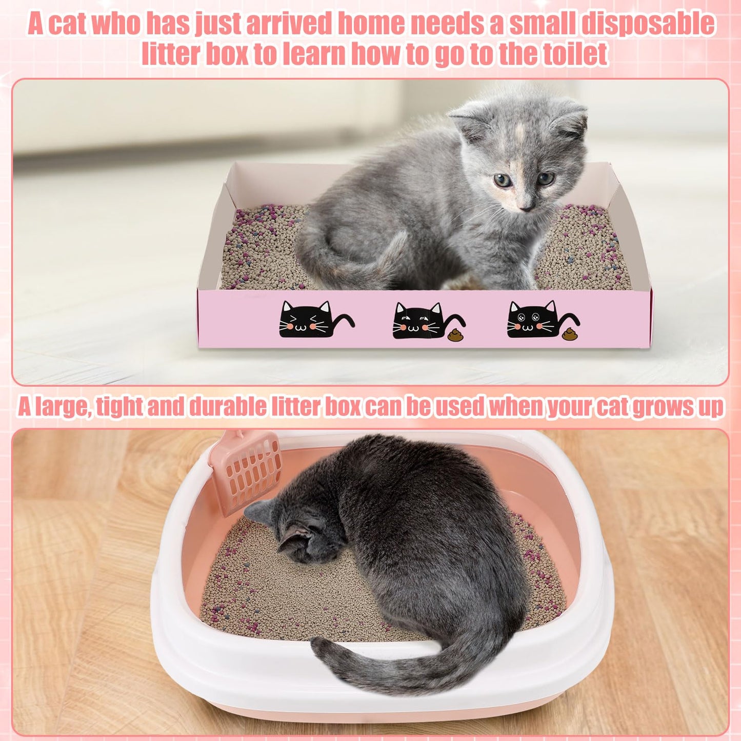 40 Pcs Kitten Starter Kit for Indoor Cats Include Litter Box, Carrier, Cat Bed, Climbing Post, Scratch Pad, Hammock, Feed Bowls, Mat, Collars, Nail File and More for Kitten Supplies Welcome Gift(Pink)